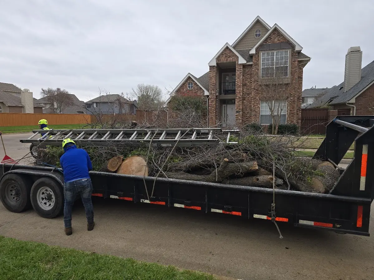 Expert Crown Reduction with proper safety equipment in Galion